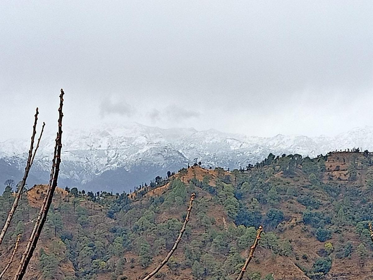 Shiva Valley Resort Kokhliyal Gaon ภายนอก รูปภาพ