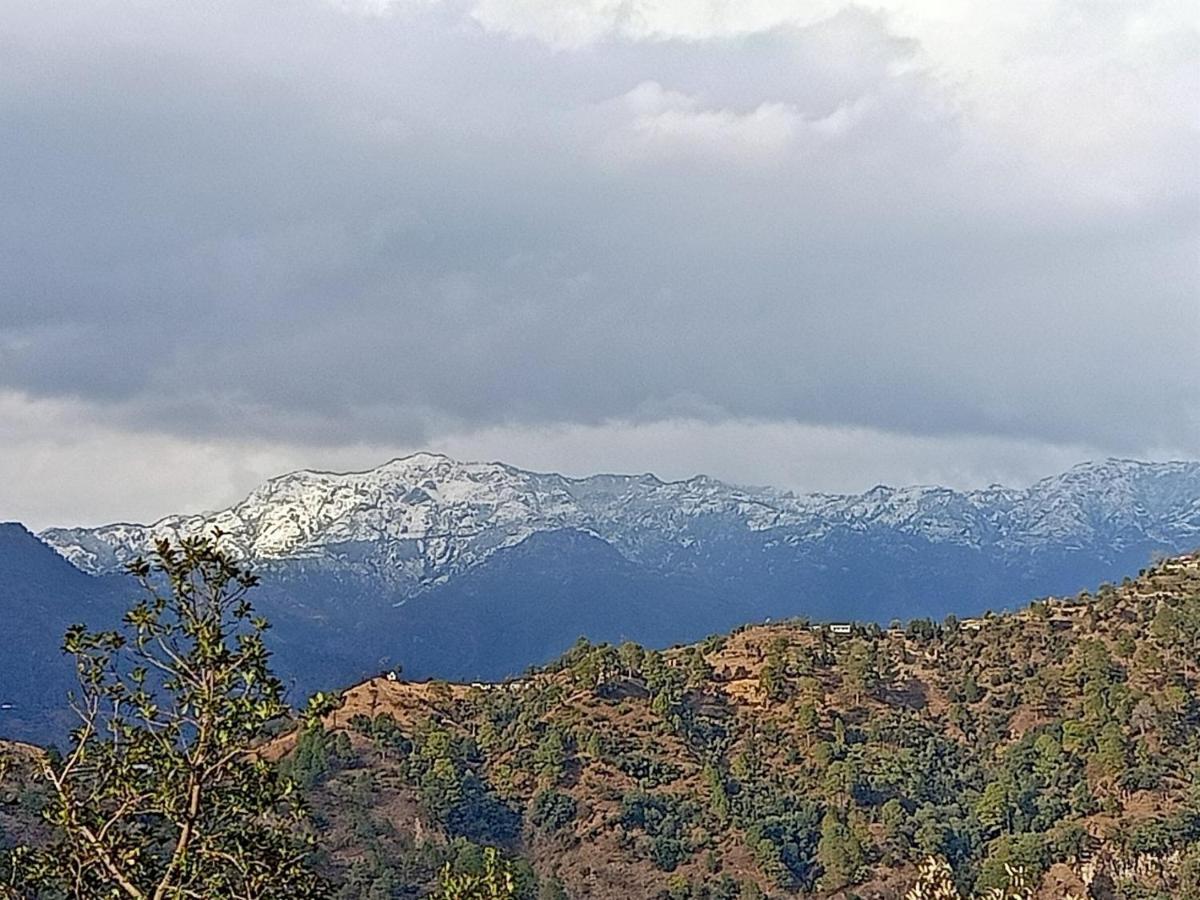 Shiva Valley Resort Kokhliyal Gaon ภายนอก รูปภาพ