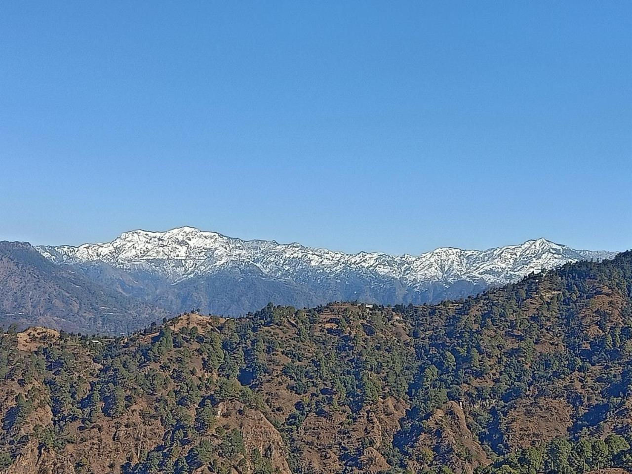 Shiva Valley Resort Kokhliyal Gaon ภายนอก รูปภาพ