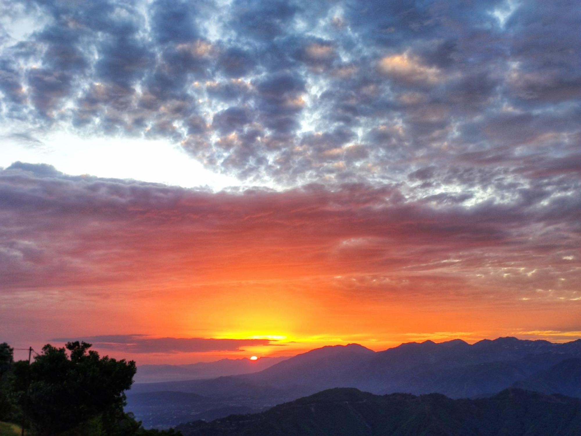 Shiva Valley Resort Kokhliyal Gaon ภายนอก รูปภาพ